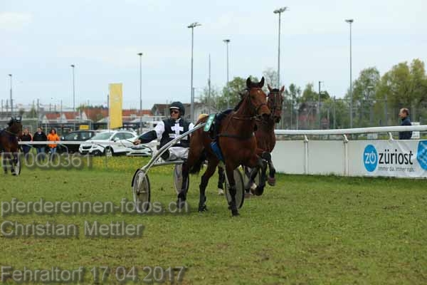 ET0Q0361 prot